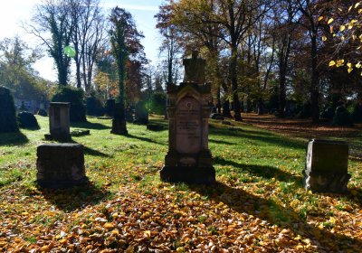 Žatec městský, Omnium, 2020