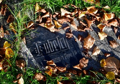 Žatec městský, Omnium, 2020