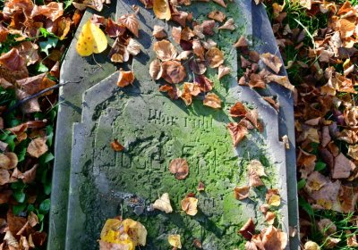 Žatec městský, Omnium, 2020