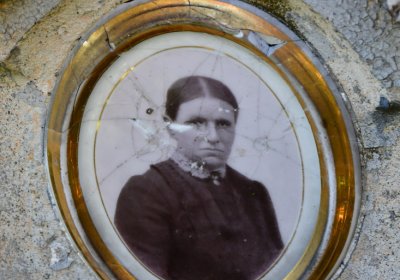 Žatec městský, Omnium, 2020