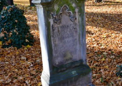 Žatec městský, Omnium, 2020