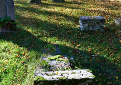 Žatec městský, Omnium, 2020