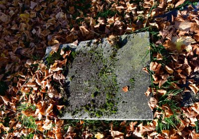 Žatec městský, Omnium, 2020