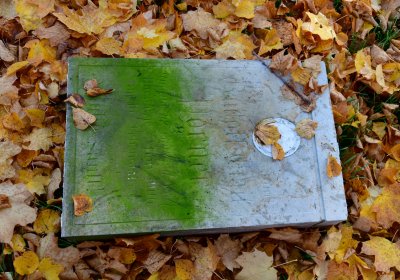 Žatec městský, Omnium, 2020