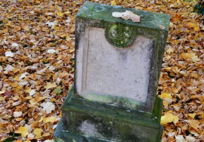 Žatec městský, Omnium, 2020