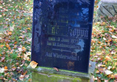 Žatec městský, Omnium, 2020