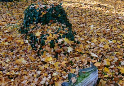 Žatec městský, Omnium, 2020