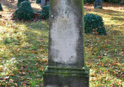 Žatec městský, Omnium, 2020