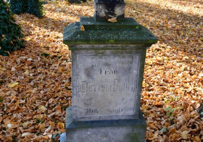 Žatec městský, Omnium, 2020