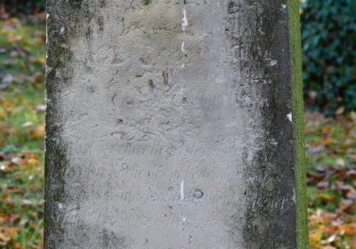 Žatec městský, Omnium, 2020