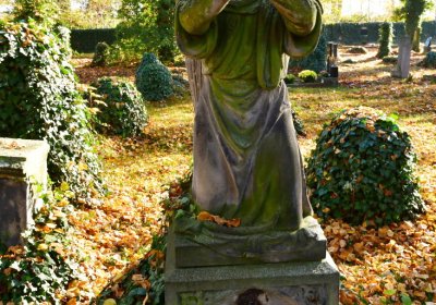 Žatec městský, Omnium, 2020