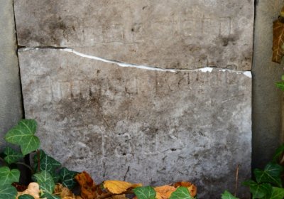 Žatec městský, Omnium, 2020