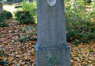 Žatec městský, Omnium, 2020