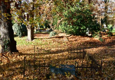 Žatec městský, Omnium, 2020