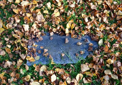 Žatec městský, Omnium, 2020