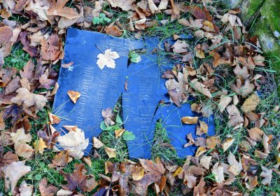 Žatec městský, Omnium, 2020