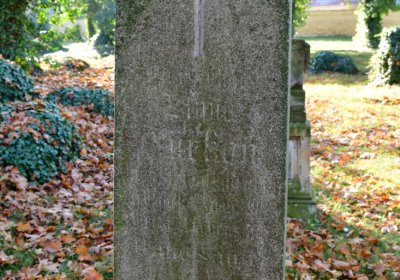 Žatec městský, Omnium, 2020