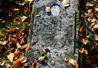 Žatec městský, Omnium, 2020