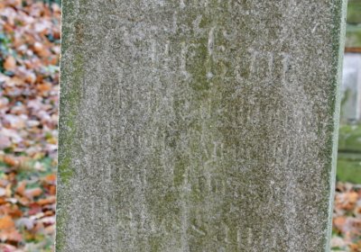 Žatec městský, Omnium, 2020