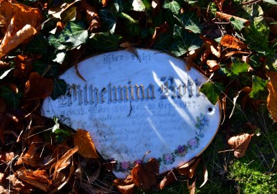 Žatec městský, Omnium, 2020