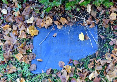 Žatec městský, Omnium, 2020