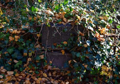 Žatec městský, Omnium, 2020