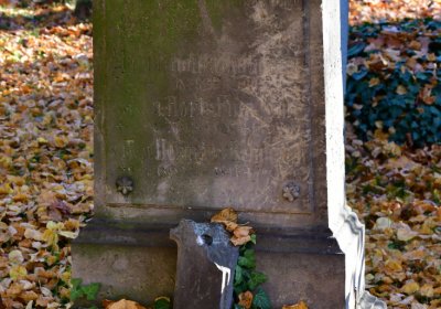 Žatec městský, Omnium, 2020