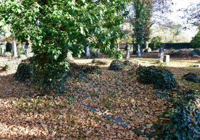 Žatec městský, Omnium, 2020