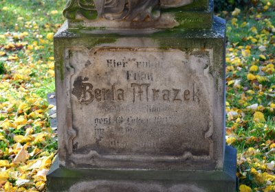 Žatec městský, Omnium, 2020