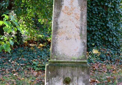 Žatec městský, Omnium, 2020