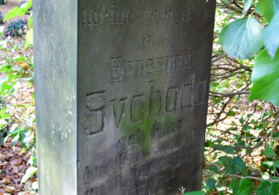 Žatec městský, Omnium, 2020