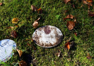 Žatec městský, Omnium, 2020