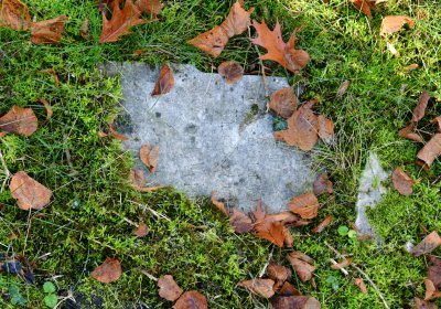 Žatec městský, Omnium, 2020