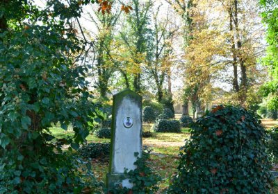 Žatec městský, Omnium, 2020