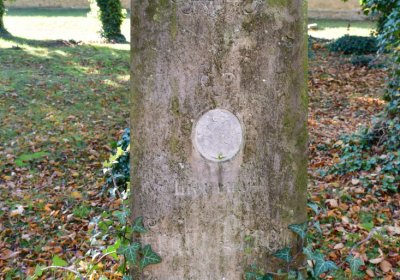 Žatec městský, Omnium, 2020