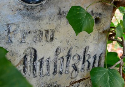 Žatec městský, Omnium, 2020