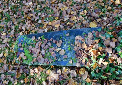 Žatec městský, Omnium, 2020