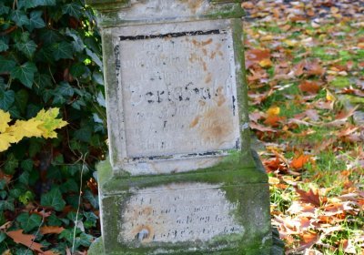 Žatec městský, Omnium, 2020