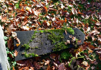 Žatec městský, Omnium, 2020