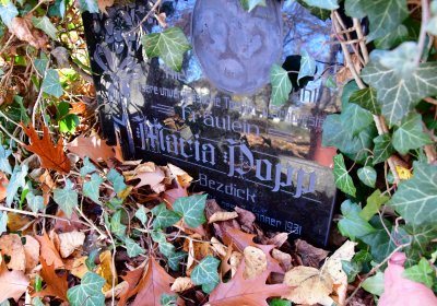 Žatec městský, Omnium, 2020