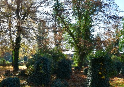 Žatec městský, Omnium, 2020