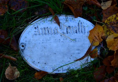 Žatec městský, Omnium, 2020