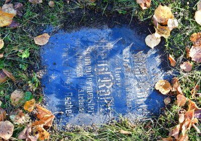 Žatec městský, Omnium, 2020