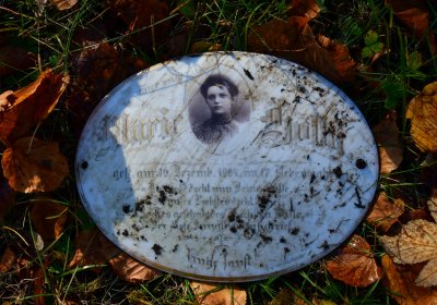 Žatec městský, Omnium, 2020