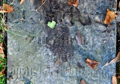 Žatec městský, Omnium, 2020