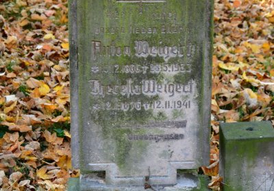 Žatec městský, Omnium, 2020