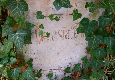 Žatec městský, Omnium, 2020