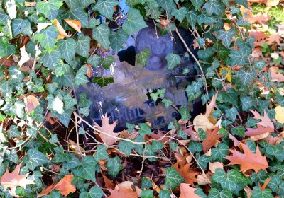 Žatec městský, Omnium, 2020