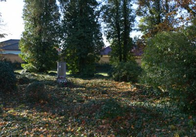 Žatec městský, Omnium, 2020