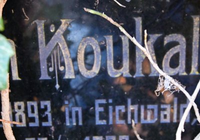 Žatec městský, Omnium, 2020